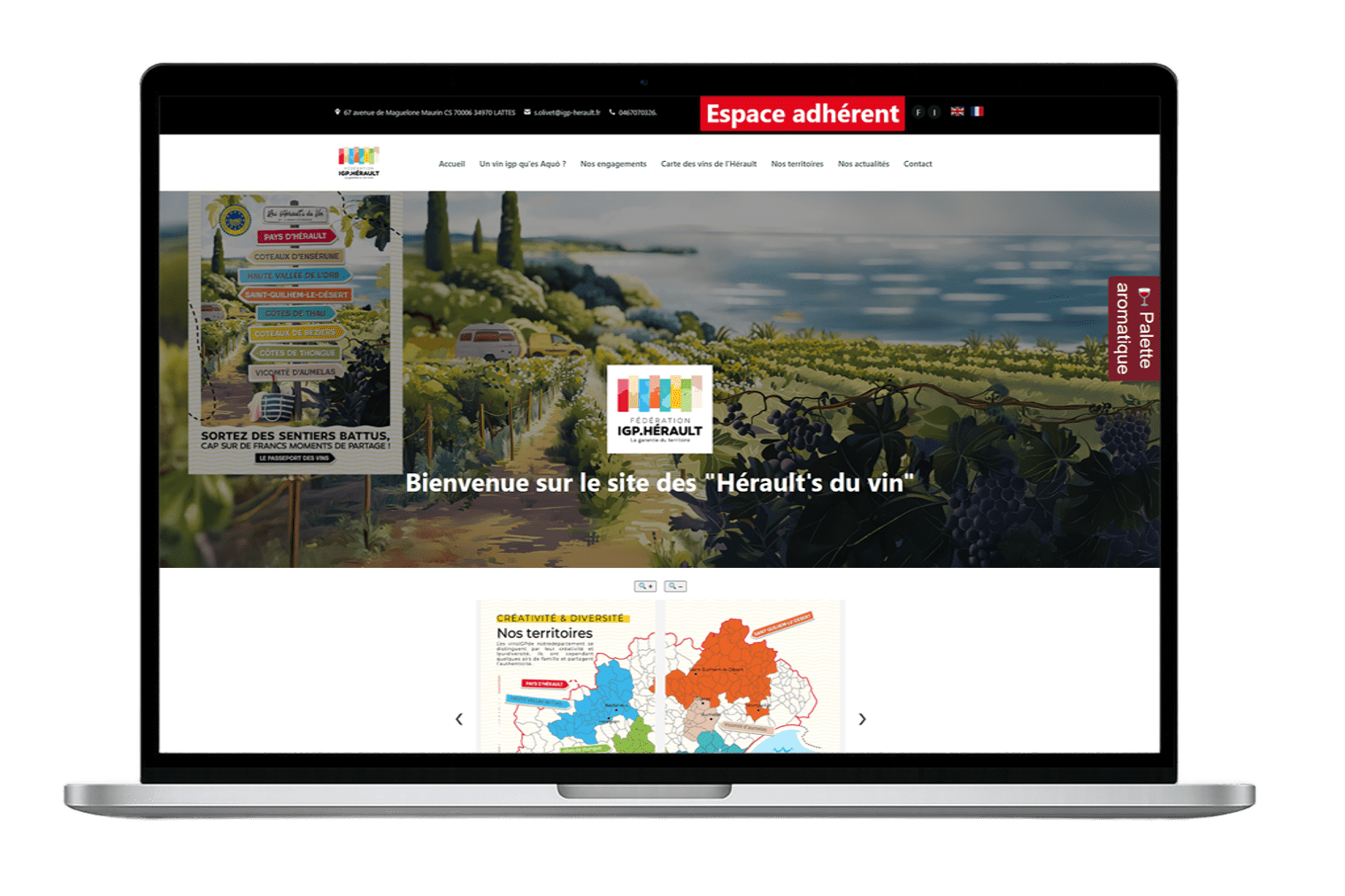 Portfolio EMBS